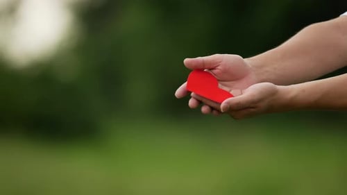 Hands Presenting Red Heart in Green Nature