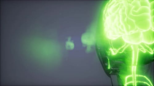 Glowing Neon Human Brain and Nervous System Scan Animation