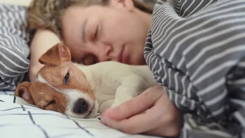Woman and Dog Sleeping Peacefully in Bed