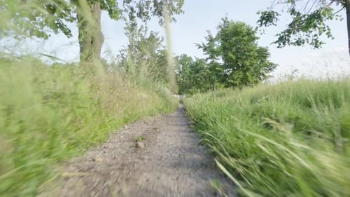 A Drive Through Nature on a Dirt Road
