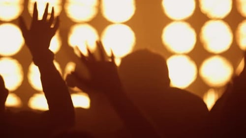 Concert Crowd Raising Hands Partying in Night Club