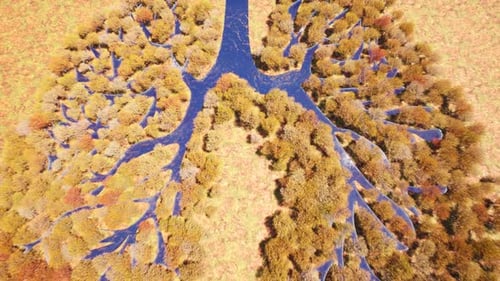 Lung Forest Planet Autumn Trees Beauty Save Earth Green Planet