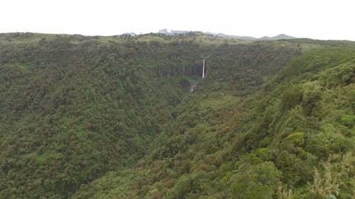 Aerial view of waterfall surrounded by forests