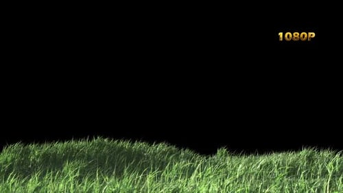 Realistic Green Grass Animation Element with Alpha Channel