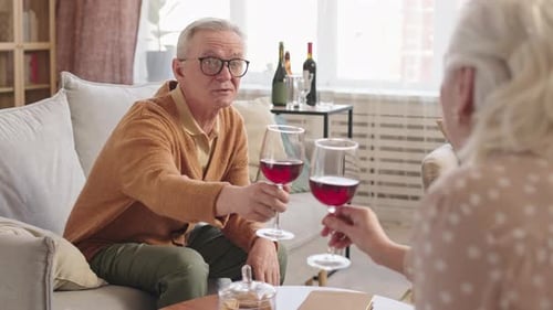 Mature Couple Toasts Red Wine at Home