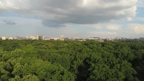 Luftaufnahme Green Trees Park vor dem Hintergrund der Stadt