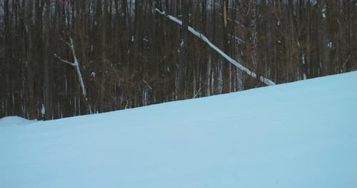 Snowboarder Glides Down Snowy Slope in Winter