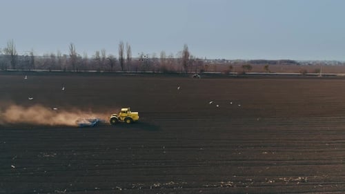 Tractor in the Large Brown Field Prepares the Soil for Sowing.