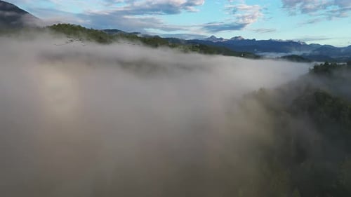 Aerial Forest Fog Landscape