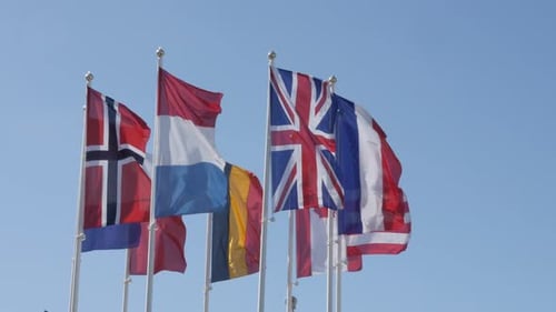 International Flags Waving Proudly in the Wind