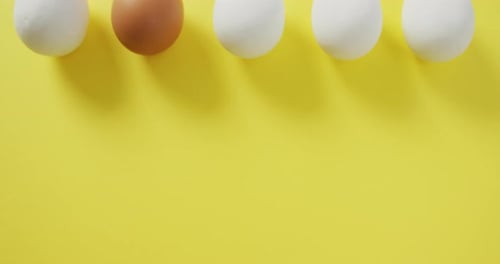 Video of row of one brown and four white eggs on yellow background