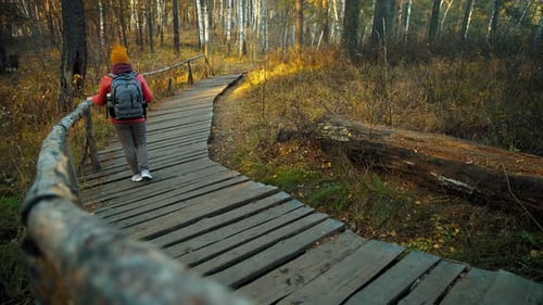 Dog and Woman Walk on Wood Path