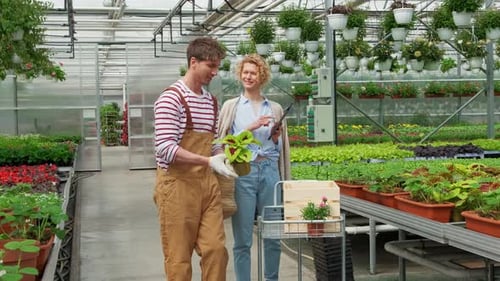 Curly Blonde Woman Shopping for Decorative Plants on Floristic Greenhouse Market
