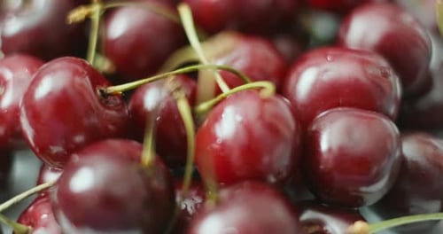 Close-Up of Fresh, Ripe Red Cherries