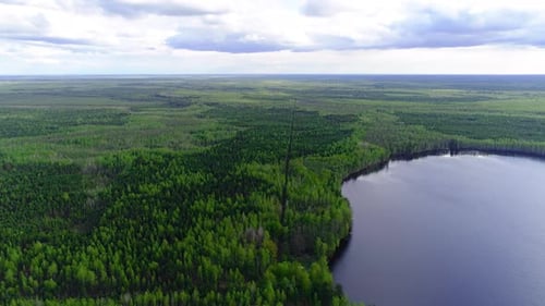 Flying above lake against the forests of spruce and pine trees, Drone collection