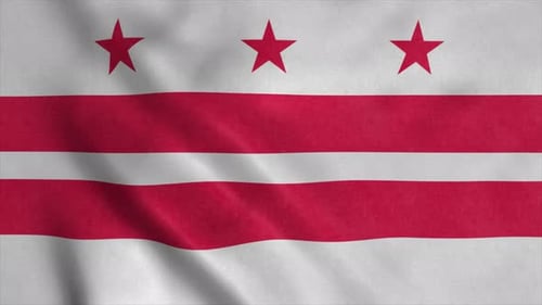 Realistic Waving Flag of Washington D.C. Seamless Loop
