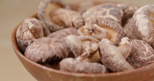 Dried Shiitake Mushrooms in a Bowl Close Up