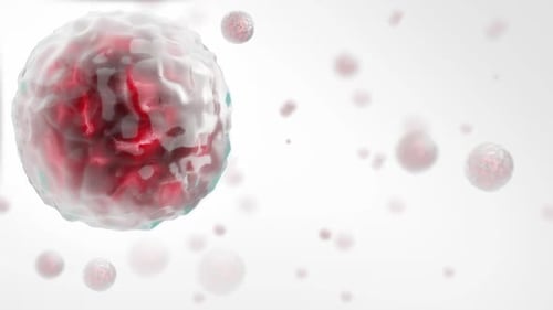 Virus