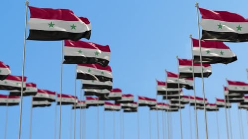 Syria Row Of National flags Walk Throw Animation