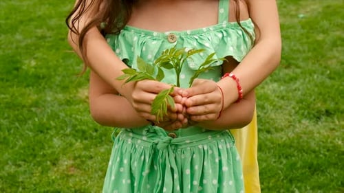 Tree Children Protect Nature with Love