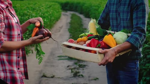 Vegetable Exchange on a Green Farm