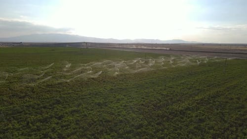 Field Irrigation System Aerial View
