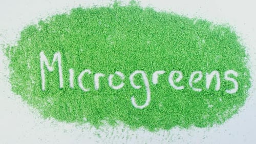 Green Writing Micro Greens