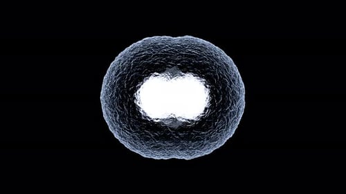 3D rendered Animation of Cell Replication