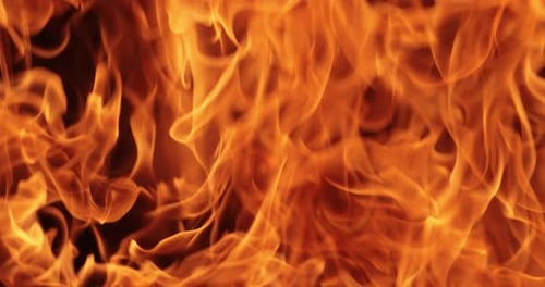 Bright Orange Flames Dancing Against Black Background