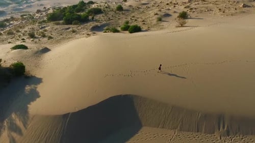 Adventure In The Desert