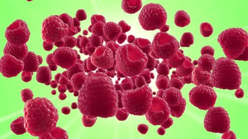 Burst of Raspberry in Green Background