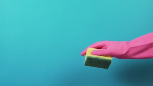 Gloved Hand Holding Cleaning Sponge