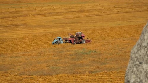 Combine Filling Tractor With Grain At Field