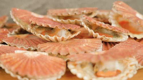 Coquilles Saint-Jacques ouvertes et fermées sur une table en bois