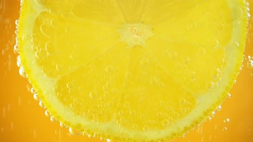 Lemon Slice Bubbling in Refreshing Water