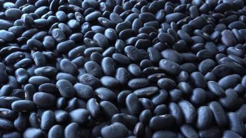 Pile of Fresh Black Beans, Close Up