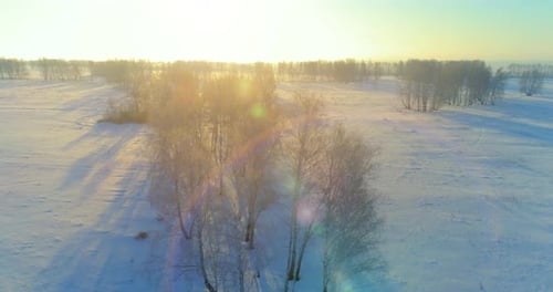 Aerial Drone View of Cold Winter Landscape with Arctic Field, Trees Covered with Frost Snow and