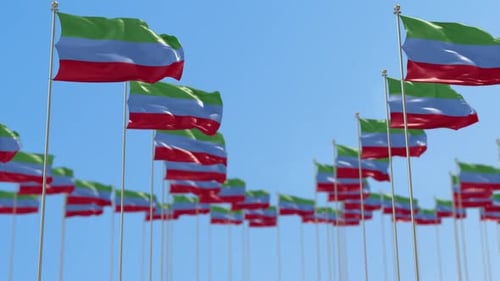 Numerous Flags with Green Blue Red Stripes Waving in Sky