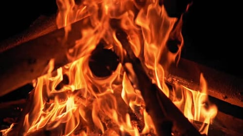 Vibrant Campfire Flames Burning at Night