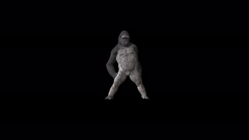 Gorilla Sexy Tanz 4K-Schleife