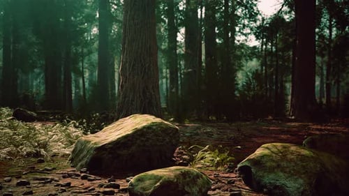 Los famosos árboles de secuoyas grandes están en pie en el Parque Nacional de las Secuoyas