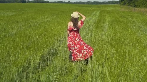 Slow Motion Young Girl Runs Across Green Field in Red Dress That Flutters in the Wind