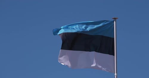 Estonian Flag Waving Against Clear Blue Sky