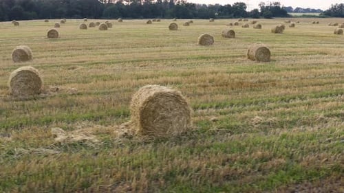 Yellow Stack Of Hay