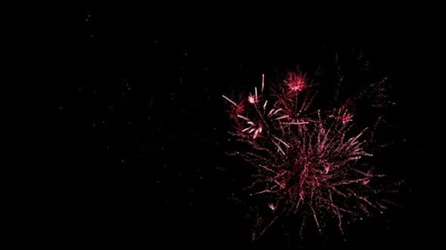 Firework display at night 4k