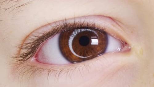 Braunes Auge eines Kindes beim Blick in die Kamera, Nahaufnahme