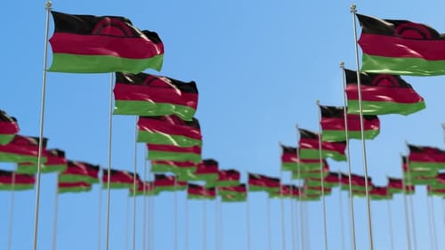 Malawi-Animation: Reihe der Nationalflaggen