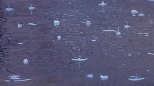 Raindrops Create Ripples on Water Surface