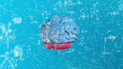 Blue Plexus Brain Formula