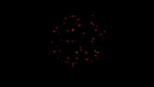Elegant Red Petals Scattering Animation